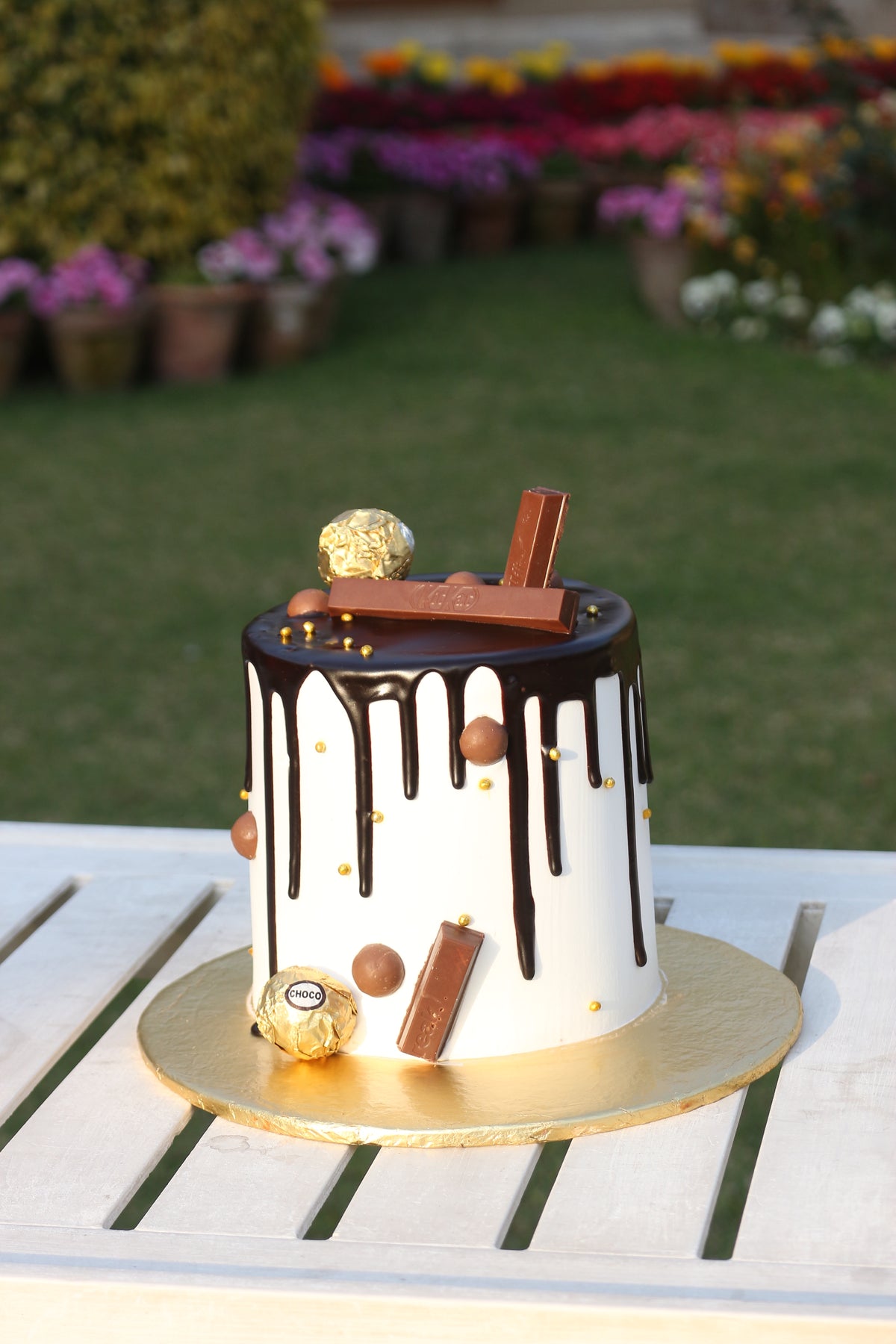 Cadbury Special (3Ib)